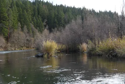 DSC_0223 (Large).JPG